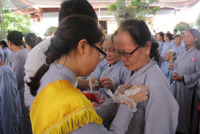 Thái Bình: Lễ hội bông hồng cài áo tại chùa Từ Xuyên
