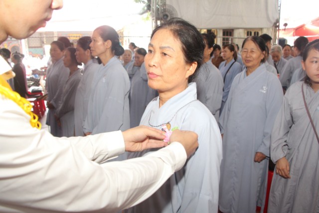 Thái Bình: Lễ hội bông hồng cài áo tại chùa Từ Xuyên