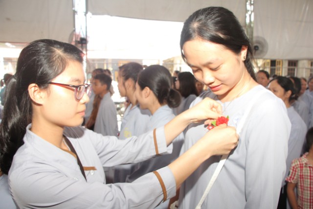 Thái Bình: Lễ hội bông hồng cài áo tại chùa Từ Xuyên