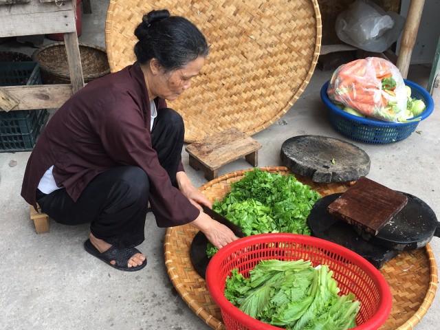 Thái Bình:  Đại lễ vía Phật A Di Đà tại chùa Từ Xuyên