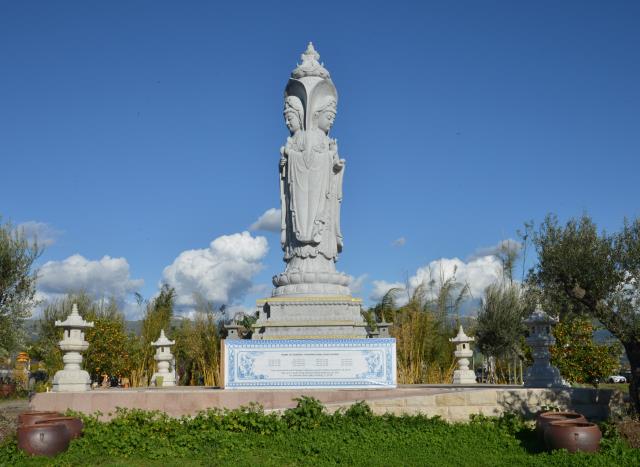 Tết Kỷ Hợi: Chùa Tâm Từ, Morgan Hill