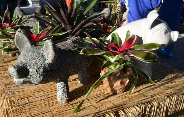 Tết Kỷ Hợi: Chùa Tâm Từ, Morgan Hill