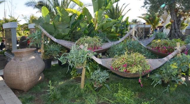 Tết Kỷ Hợi: Chùa Tâm Từ, Morgan Hill