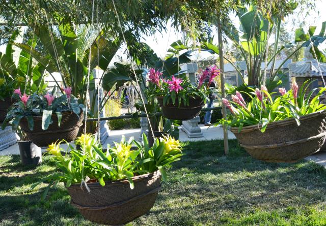 Tết Kỷ Hợi: Chùa Tâm Từ, Morgan Hill