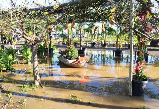 Tết Kỷ Hợi: Chùa Tâm Từ, Morgan Hill