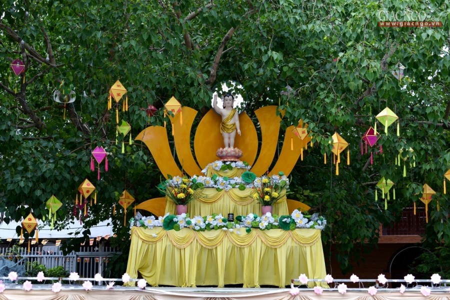 Sắc màu hân hoan kính mừng Phật đản tại TP. HCM