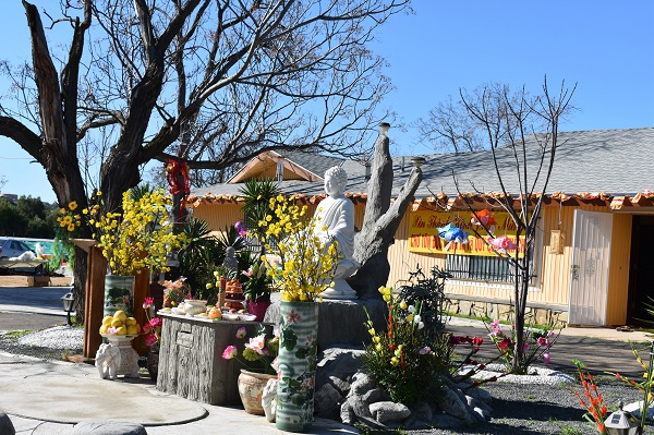 Giới Hạnh Viên Dung- Hưong Sen Lan Tỏa