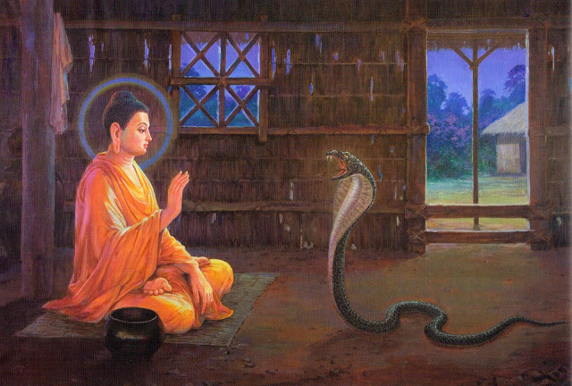 Tâm Tình Trong Mùa Dịch Bệnh CORONA