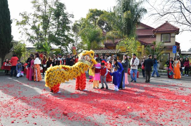 Tiếng Trống Lân &amp; Pháo Nổ Rộn Ràng Mừng Xuân Canh Tý  Tại Chùa Phổ Từ, Hayward, Hoa Kỳ