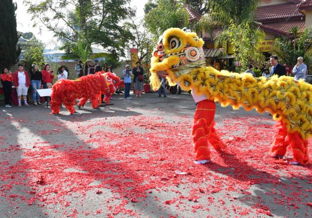 Tiếng Trống Lân &amp; Pháo Nổ Rộn Ràng Mừng Xuân Canh Tý  Tại Chùa Phổ Từ, Hayward, Hoa Kỳ