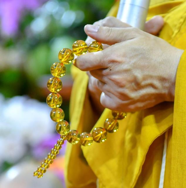 Chùm ảnh: Tụng Kinh và ngồi thiền sáng 17/09/2020
