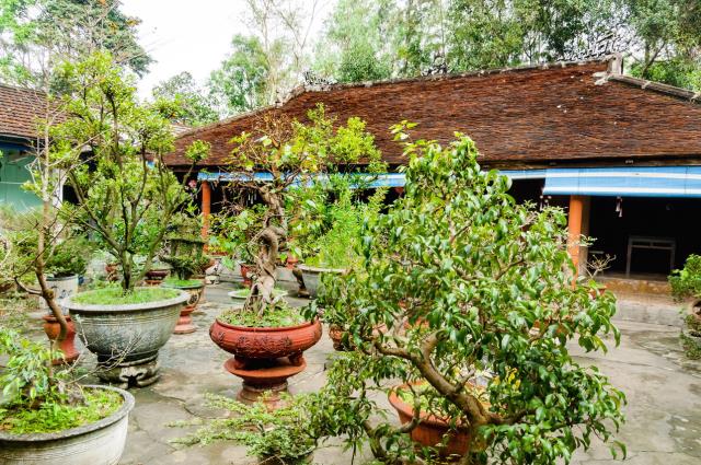 Chùa Quốc Ân, Ngôi Tổ Đình Thiền Phái Lâm Tế Ở Huế, Chùa Đang Đại Trùng Tu