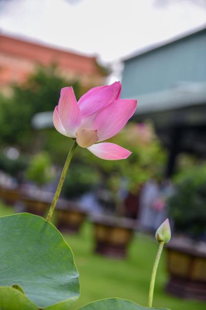 &quot;TÌM AN TRONG BẤT AN&quot; - BÀI PHÁP THOẠI CỦA TRƯỞNG LÃO HÒA THƯỢNG THÍCH TRÍ QUẢNG