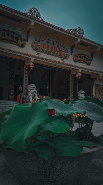 Một thoáng bình yên chùa Vạn Linh, Long An