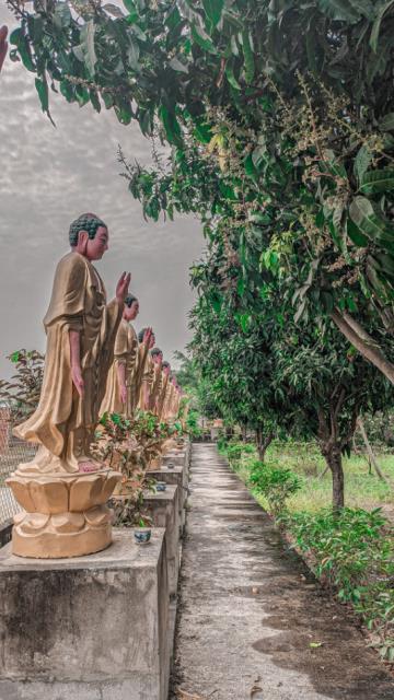 Một thoáng bình yên chùa Vạn Linh, Long An