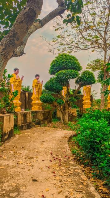 Một thoáng bình yên chùa Vạn Linh, Long An