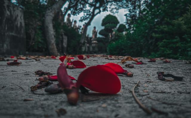 Một thoáng bình yên chùa Vạn Linh, Long An