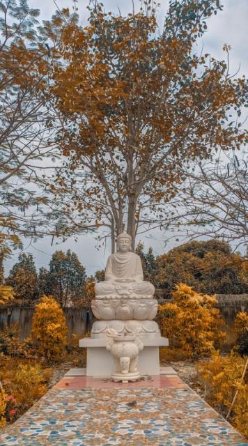 Một thoáng bình yên chùa Vạn Linh, Long An