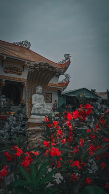 Một thoáng bình yên chùa Vạn Linh, Long An