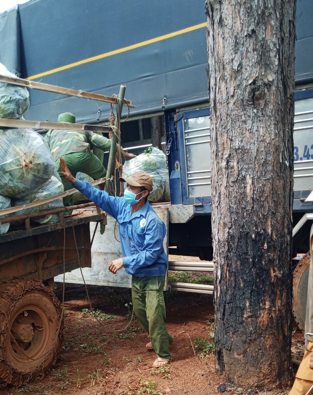 Chùa Giác Ngộ Mua "Giải Cứu" 70 Tấn Bắp Cải, Tiếp Sức Cho Người Dân Trong Mùa “Bão Covid-19”
