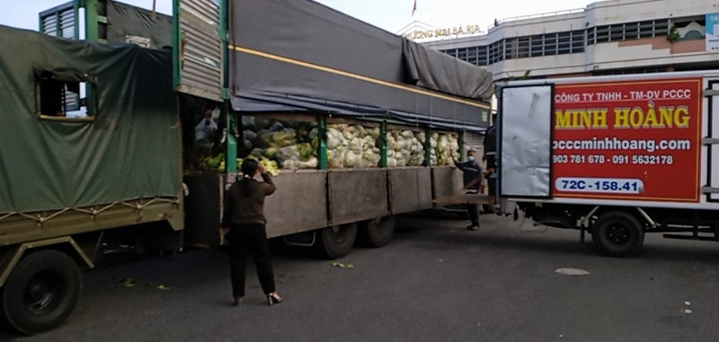 Chùa Giác Ngộ Mua "Giải Cứu" 70 Tấn Bắp Cải, Tiếp Sức Cho Người Dân Trong Mùa “Bão Covid-19”