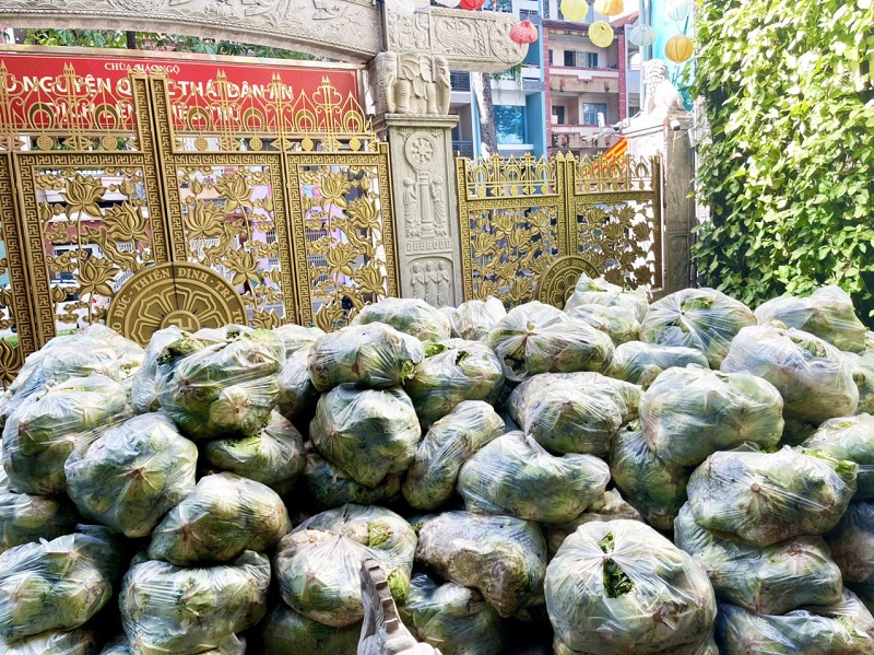 Chùa Giác Ngộ Mua "Giải Cứu" 70 Tấn Bắp Cải, Tiếp Sức Cho Người Dân Trong Mùa “Bão Covid-19”