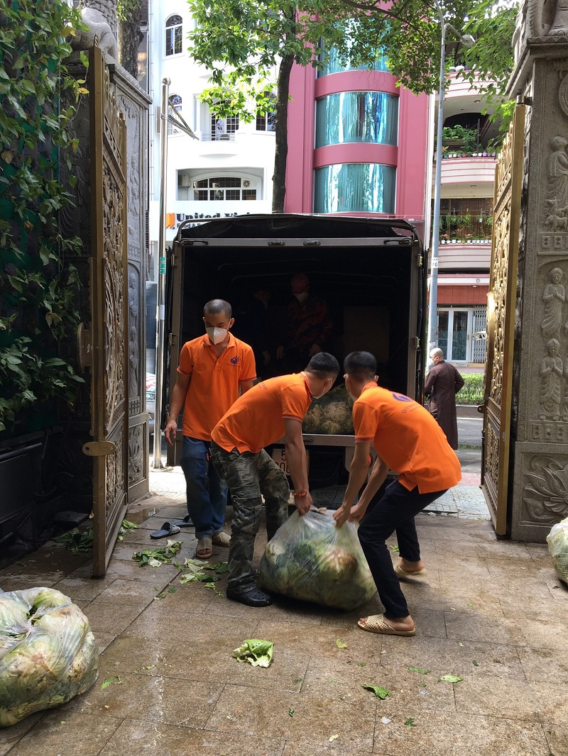 Chùa Giác Ngộ Mua "Giải Cứu" 70 Tấn Bắp Cải, Tiếp Sức Cho Người Dân Trong Mùa “Bão Covid-19”