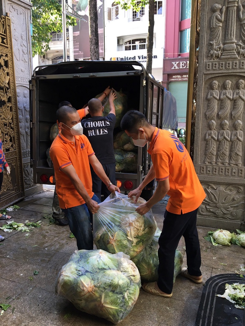 Chùa Giác Ngộ Mua "Giải Cứu" 70 Tấn Bắp Cải, Tiếp Sức Cho Người Dân Trong Mùa “Bão Covid-19”