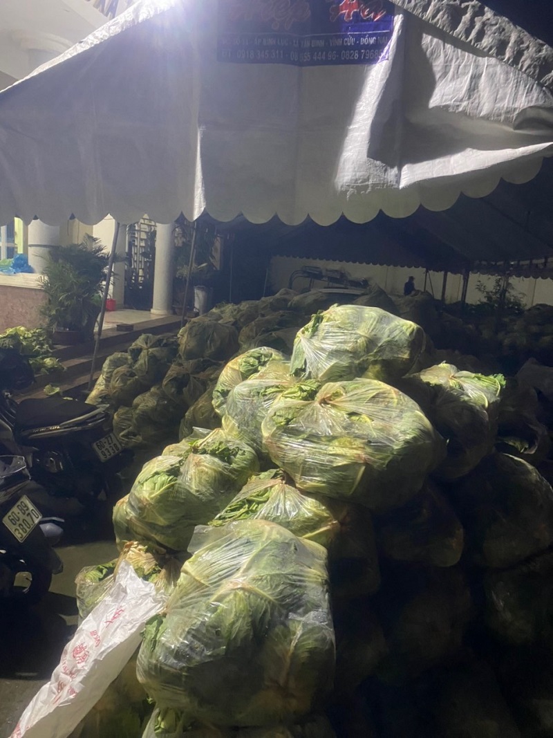 Chùa Giác Ngộ Mua "Giải Cứu" 70 Tấn Bắp Cải, Tiếp Sức Cho Người Dân Trong Mùa “Bão Covid-19”