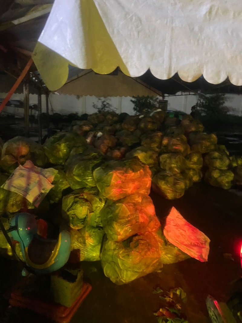 Chùa Giác Ngộ Mua "Giải Cứu" 70 Tấn Bắp Cải, Tiếp Sức Cho Người Dân Trong Mùa “Bão Covid-19”