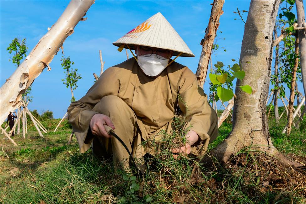 Gieo duyên qua hoạt động chấp tác