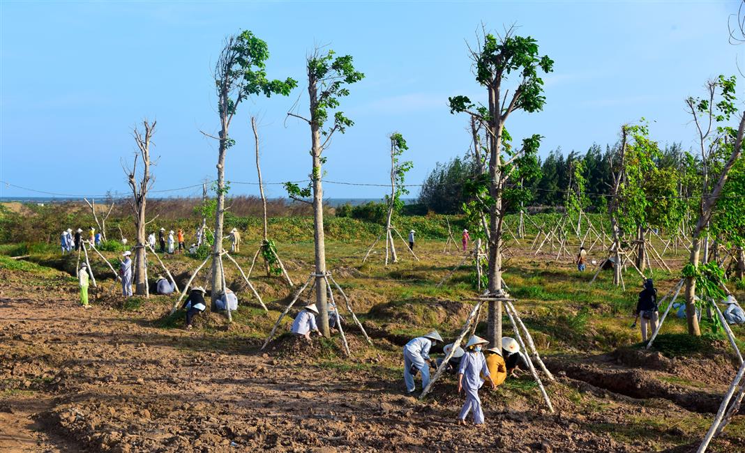 Gieo duyên qua hoạt động chấp tác