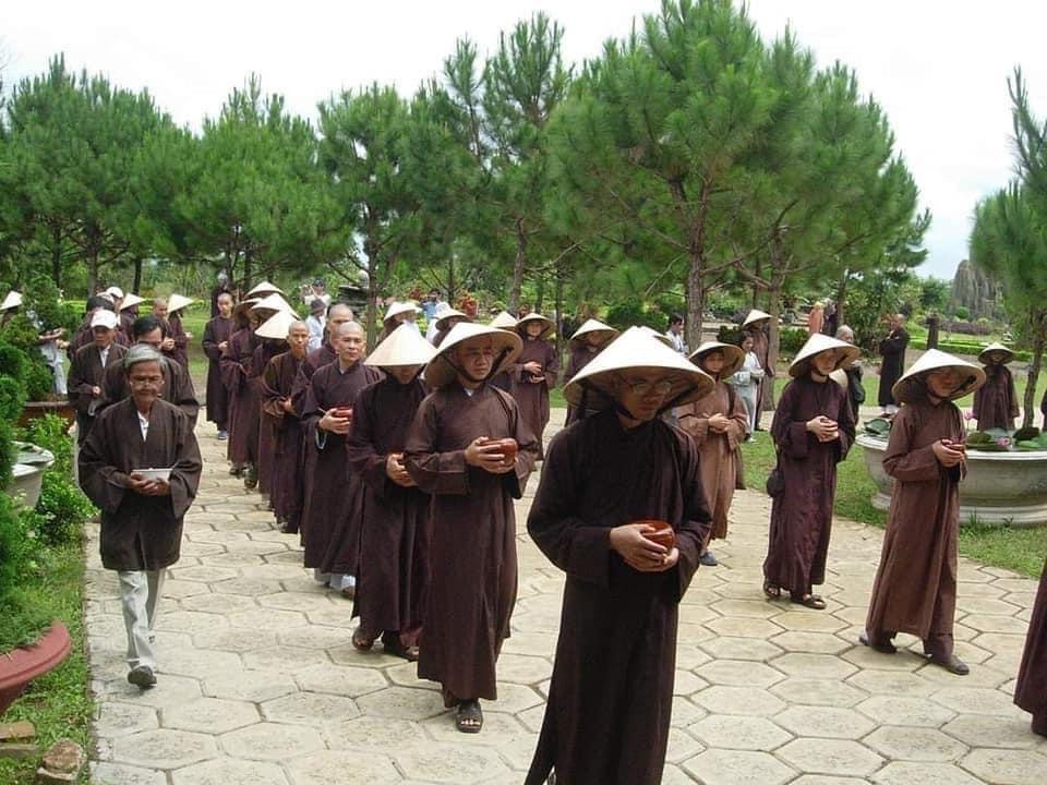 Sen Quý Nở Đài Giác Ngộ