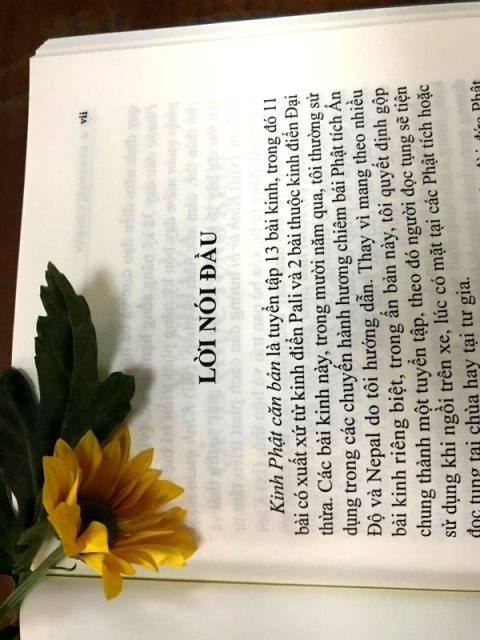 Ấn Tống Pháp Bảo (C267)