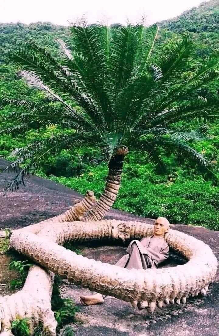 Tâm Linh Độc Hành   (Thầy Tuệ Sỹ Từ Quảng Hương Già Lam Lên Núi…)