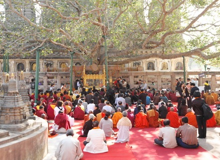 Loạt ảnh đặc biệt cung nghinh Xá lợi Phật từ Ấn Độ - Phần 1: Bước chân trên vùng đất thiêng