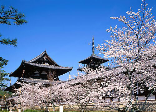 Đi thăm ngôi chùa gỗ cổ nhất Nhật Bản