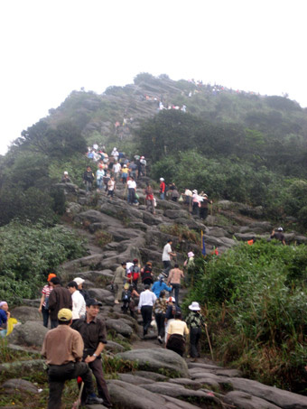 images261658_chuadong