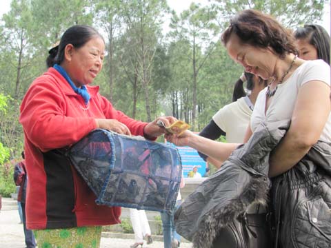 TT Huế: Đại lễ cầu Quốc thái Dân an, Phó Chủ tịch nước tham dự