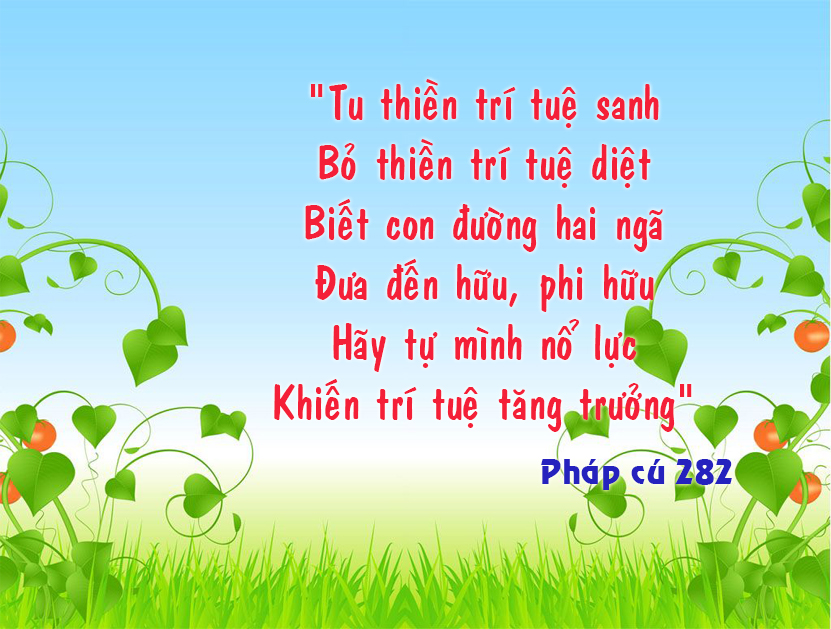 Thiền Định Sẽ Giúp Cho Tôi, Những Điều Gì? (What Will Meditation Do For Me?