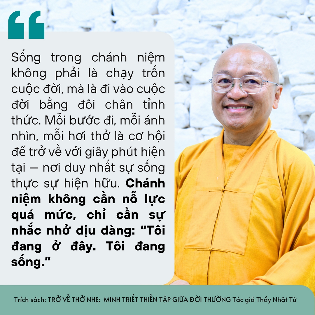 15 Câu Pháp Ngữ Chữa Lành: Hơi Thở Chánh Niệm Đánh Thức Bình An