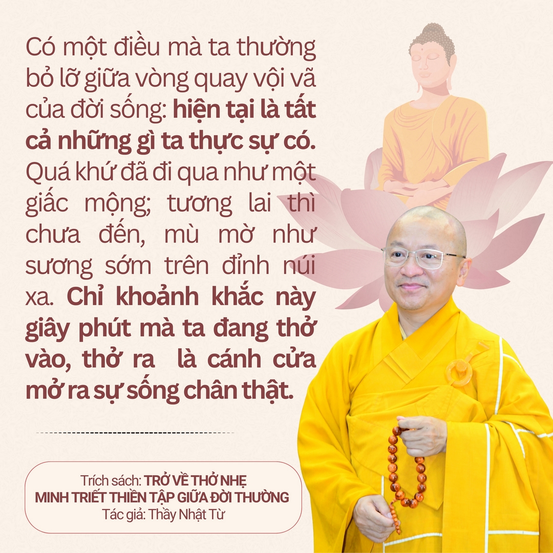 15 Câu Pháp Ngữ Chữa Lành: Hơi Thở Chánh Niệm Đánh Thức Bình An
