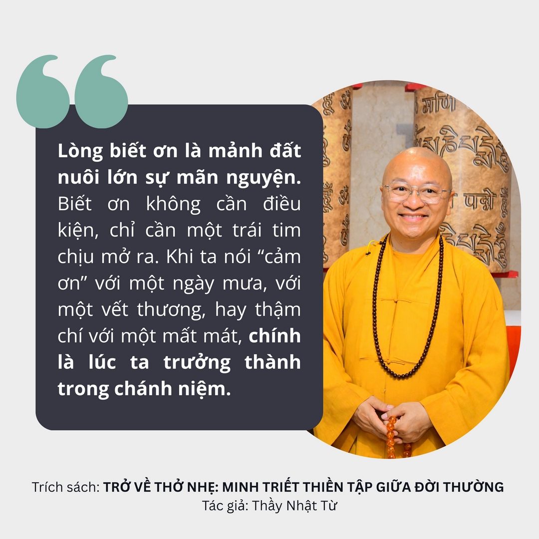 15 Câu Pháp Ngữ Chữa Lành: Hơi Thở Chánh Niệm Đánh Thức Bình An