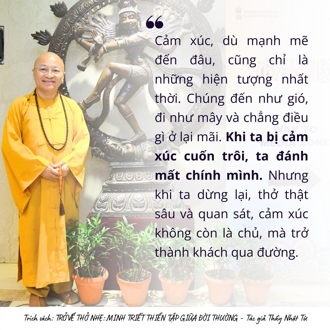 15 Câu Pháp Ngữ Chữa Lành: Hơi Thở Chánh Niệm Đánh Thức Bình An