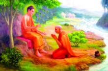 Hạt giống của mặt trời