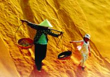 Tấm lòng của mẹ