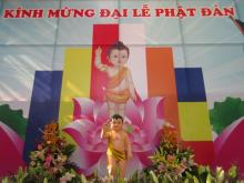 Hà Nam: Phật đản về trên vùng thôn quê Lý Nhân