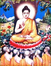 Tứ đế