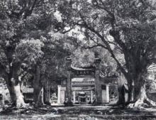 Chùa làng - Ảnh: Võ An Ninh