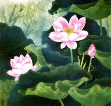 Đi Về Ánh Sáng